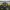 Manchester United Third 25/26 Master Version - Stadium Jersey - Image 3