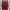 Manchester United Home 25/26 Master Version - Stadium Jersey - Image 2