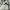 Real Madrid Special White 25/26 - Baseball Jersey - Authentic Jersey - Image 4