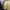 Arsenal Terrace Icons Yellow 25/26 Player Version – Authentic Jersey - Image 5