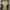 Arsenal Terrace Icons Yellow 25/26 Player Version – Authentic Jersey - Image 2