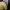 Arsenal Terrace Icons Yellow 25/26 Player Version – Authentic Jersey - Image 4