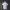Germany 2026 World Cup Home Jersey – Stadium (Fan Version) - Image 2