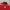 Manchester United 2026/27 Home Jersey – Stadium Fan Version - Image 3