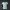 France 2026 World Cup Away Jersey - Player Version (Authentic)